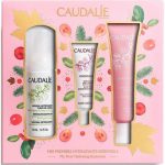 Набор Caudalie Vinosource Sorbet (Увлажняющая сыворотка SOS 10 мл + Крем сорбет 40 мл + Пенка для снятия макияжа 50 мл)