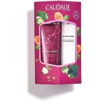 Набор Caudalie LipHand Duo (Крем для рук The des Vignes 30 мл + Кондиционер для губ увлажняющий 4,5 г)