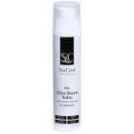 SeaCare, Мужской бальзам после бритья с минералами Мертвого моря и натуральными маслами, 100 мл Men