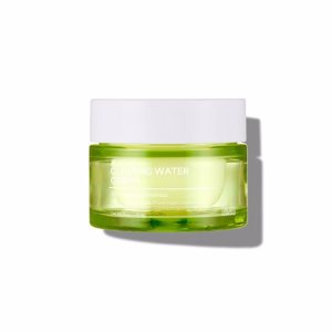 TENZERO TEATREE CLEARING WATER CREAM (50gr), Укрепляющий крем с экстрактом чайного дерева (50гр)