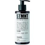 STMNT Statement Grooming Goods Shampoo Шампунь, 300 мл