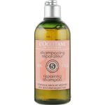 Шампунь восстанавливающий - L'Occitane Aromachologie Repariring Shampoo