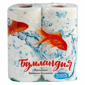 Полотенце бумажное 2 слоя 2 рулона с рисунком в ассортименте Бумландия