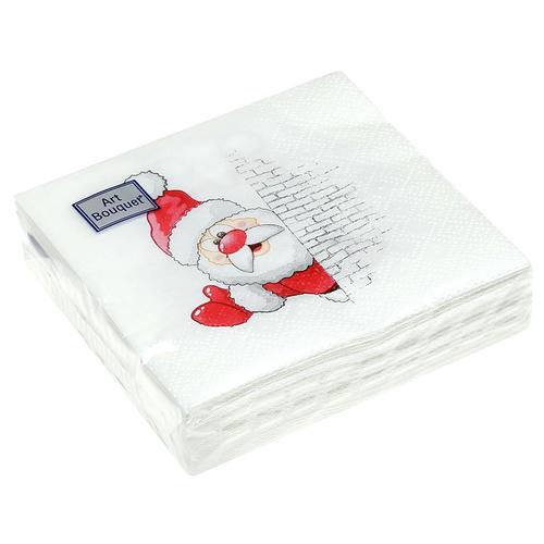 Салф. Art Bouquet 20х20 2 слоя 30л "Дед Мороз"