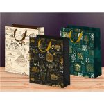 Пакет бумажный Путешествие 26х32см