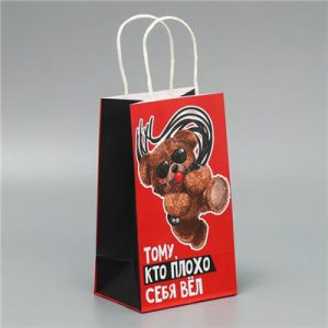 Пакет крафт Мишка 21х12х9см