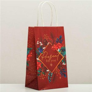 Пакет Новый год крафт Зимний презент 21х12х9см