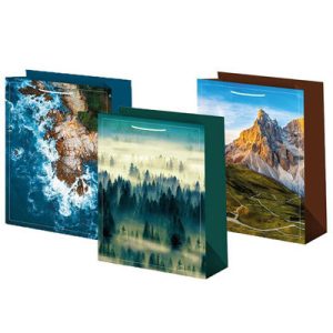 Пакет бумажный Природа 22х31см