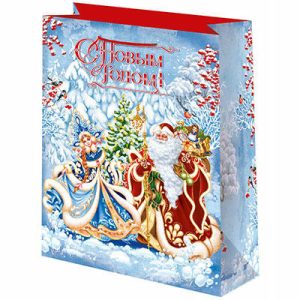 Пакет бумажный Новый год ДеДед Мороз Снегурочка 41х56см