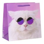Пакет бумажный Кот на стиле 37х37см