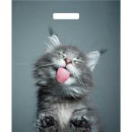 Пакет п/э Кот 38х45см