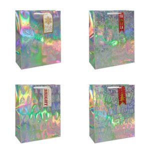 Пакет бумажный подарочный Голограф тис микс26х32см