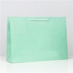Пакет зеленый ламинирован 38х53,5х13см