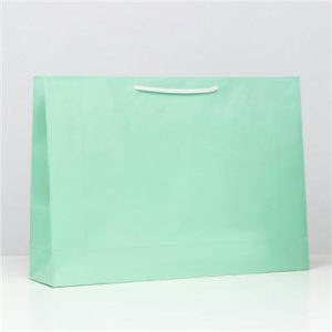 Пакет зеленый ламинирован 38х53,5х13см