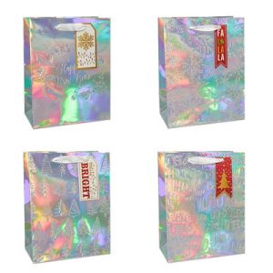 Пакет бумажный подарочный Голограф тис микс18х23см