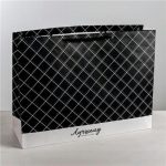 Пакет Лучшему 61х46х20см