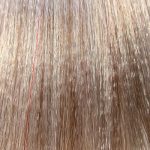 10.22 крем-краска для волос / Nature Color Plex 120 мл