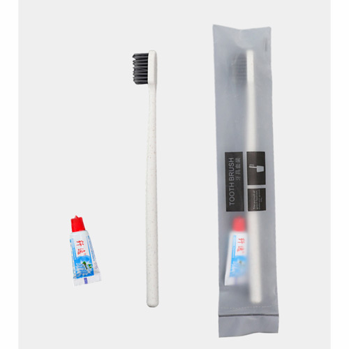 Набор из одноразовой зубной щетки и пасты, 1 шт.