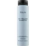 3DeLuXe No Yellow Shampoo, Шампунь для нейтрализации желтизны
