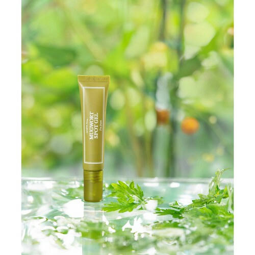 I'm From Средство точечное с полынью - Mugwort spot gel, 15г — изображение 3