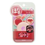 Sana Помада-тинт губная матовая «красная слива, тон 01» - Powder lip, 1шт