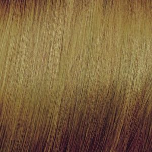 ELGON, Краска для волос без аммиака Get The Color Dolce 9, 100 мл