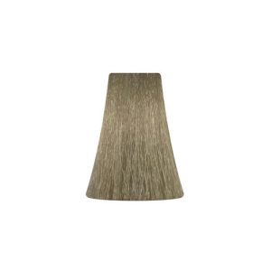 BB ONE, Перманентная крем-краска для волос Picasso Colour Range 10/2, 100 мл