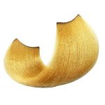 SHOT, Крем-краска для волос Born To Be Blond Extra 10/3, 100 мл