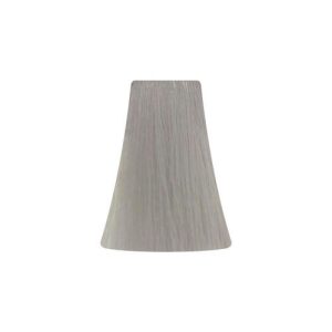 BB ONE, Перманентная крем-краска для волос Picasso Colour Range 12/12, 100 мл