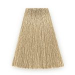 NIRVEL, Безаммиачный бивалентный краситель для волос Nature 10/23, 100 мл