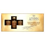 ANGEL, Тоник-концентрат против выпадения волос Professional, 5х10 мл