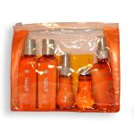 ANGEL, Набор миниатюр для окрашенных волос Professional, (2х100 + 2х50 + 80) мл