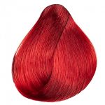 KAARAL, Стойкая крем-краска для волос AAA Hair Cream Colorant .66, 100 мл