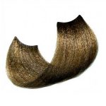 SHOT, Крем-краска для волос Born To Be Colored 6/1, 100 мл