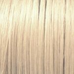 INSIGHT, Перманентный краситель для волос Incolor 10.0, 100 мл