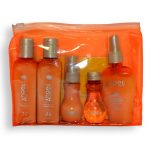 ANGEL, Набор миниатюр для сухих и нормальных волос Professional, (2х100 + 2х50 + 80) мл