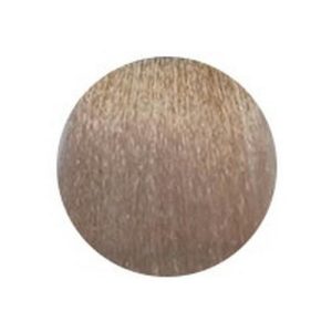 LUXOR, Стойкая крем-краска для волос Color 10/31, 100 мл