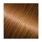 YPSED, Камуфляж для волос Regular Light Medium Brown Refill, 25 гр