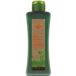 SALERM, Шампунь для окрашенных и поврежденных волос BIOKERA, 300 мл