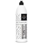 Оксидант Intensis Color Art 1,2% 4Vol, 900 мл