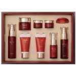 RELENT, Подарочный набор уходовой косметики для лица Yokibi Precia Set