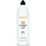 Оксидант Intensis Color Art 6% 20Vol, 900 мл