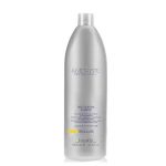 FARMAVITA, Шампунь для жирной кожи головы Amethyste Regulate Sebo Control Shampoo, 1000 мл