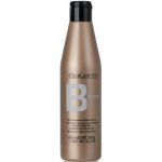 SALERM, Шампунь для нейтрализации желтизны Champu Cabellos Blancos, 250 мл