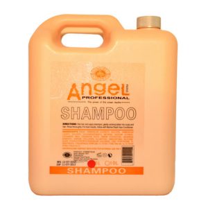 ANGEL, Шампунь безсульфатный для сухих и нейтральных волос Professional, 5000 мл