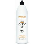 Оксидант Intensis Color Art 12% 40Vol, 900 мл