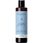 ARTEGO, Шампунь для объёма волос Rain Dance, 250 мл