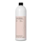 FARMAVITA, Шампунь для для защиты цвета и блеска волос Back Bar Color Shampoo № 01, 1000 мл