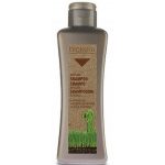 SALERM, Шампунь с аргановым маслом BIOKERA ARGAN, 300 мл