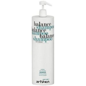 ARTEGO, Шампунь для жирных волос Balance, 1000 мл